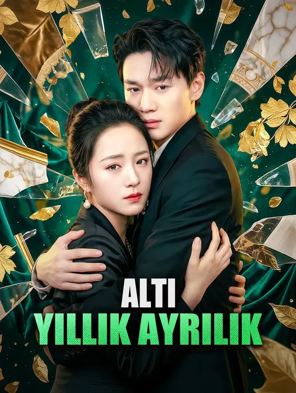 Altı Yıllık Ayrılık — Kore dizi posteri