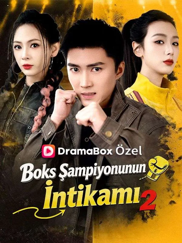 Boks Şampiyonunun İntikamı 2 —  kore dizi posteri