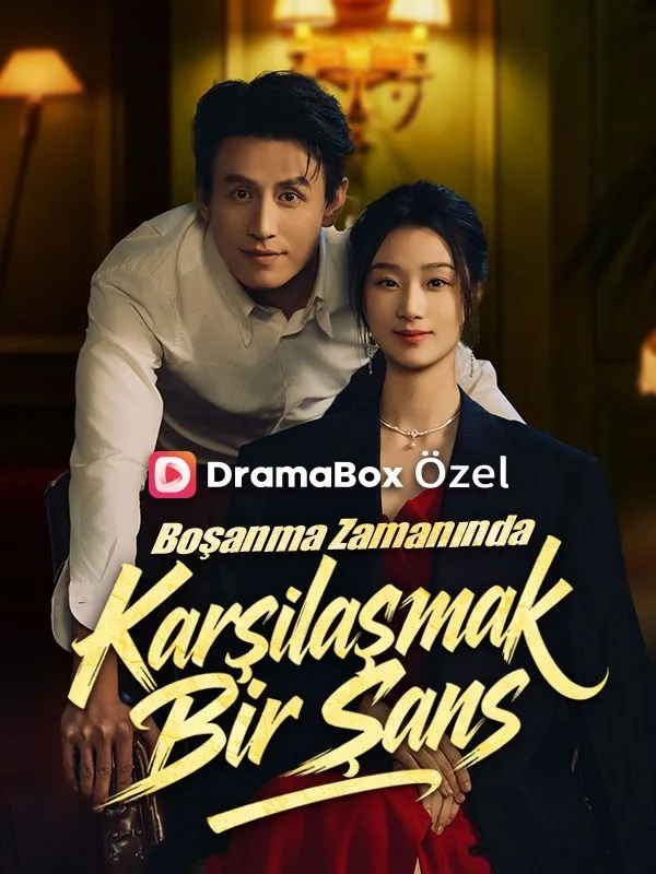 Boşanma Zamanında Karşılaşmak Bir Şans — kore dizi posteri
