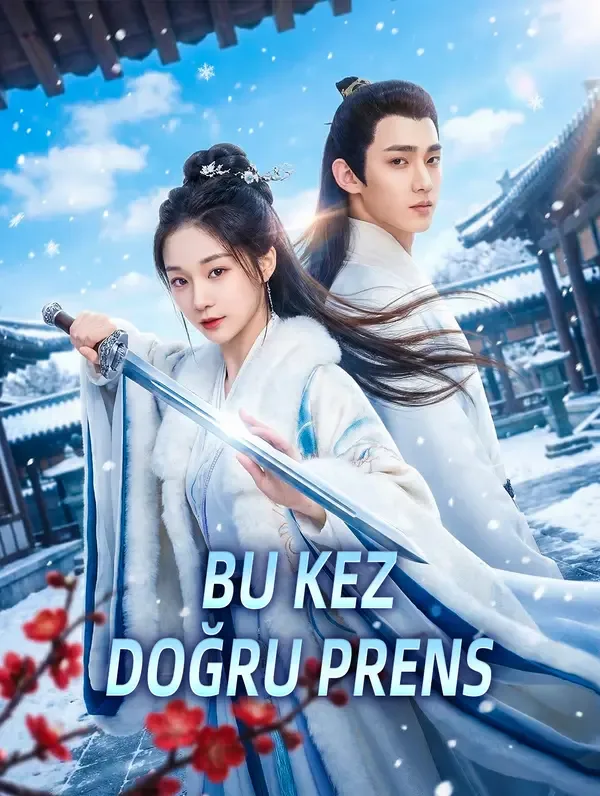 Bu Kez Doğru Prens — İntikam, Rol Değişimi kore dizi posteri