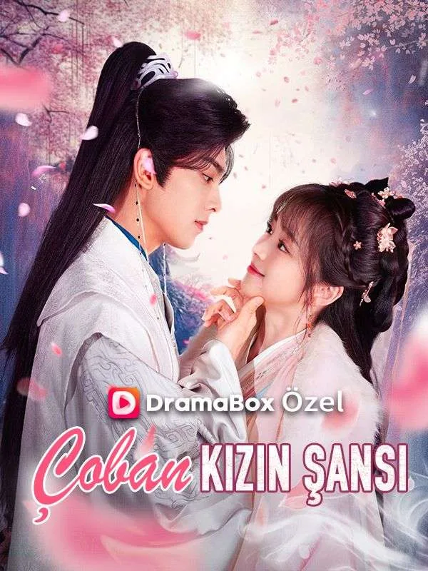 Çoban Kızın Şansı —  kore dizi posteri