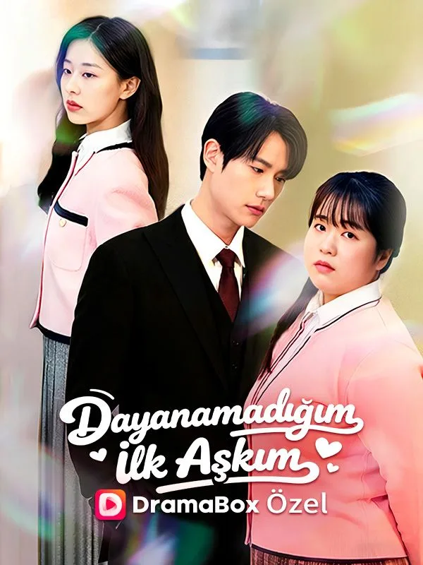 Dayanamadığım İlk Aşkım —  kore dizi posteri
