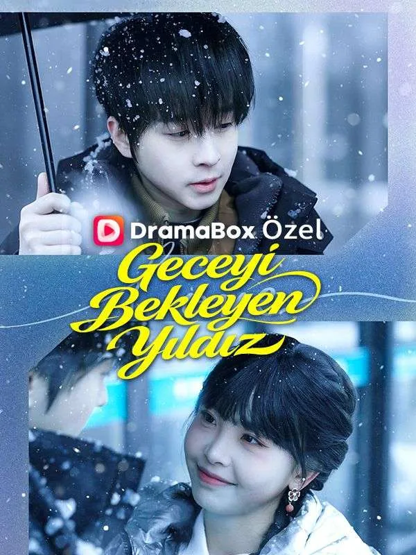 Geceyi Bekleyen Yıldız — Kore kore dizi posteri