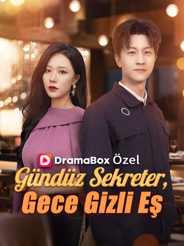 Gündüz Sekreter, Gece Gizli Eş — Kore kore dizi posteri