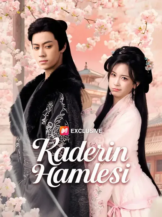 Kaderin Hamlesi — Kore dizi posteri