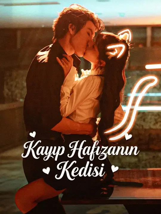 Kayıp Hafızanın Kedisi — Kore dizi posteri