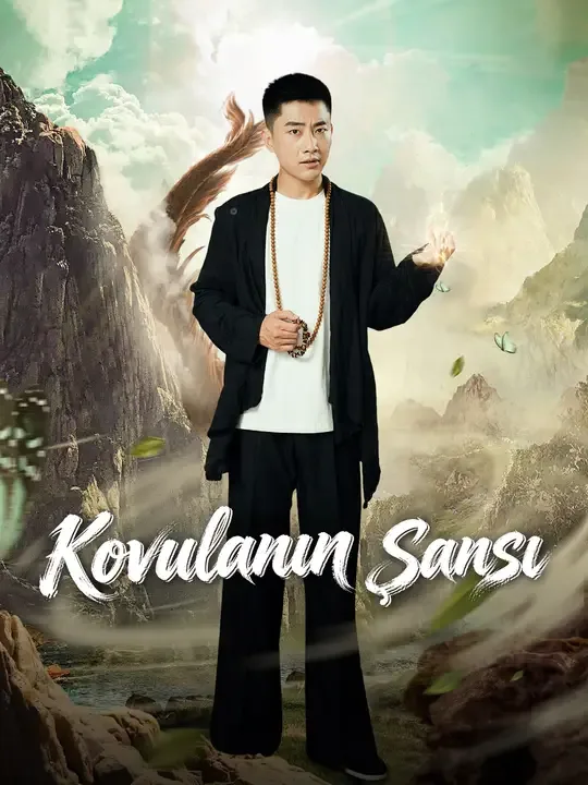 Kovulanın Şansı — Kore dizi posteri