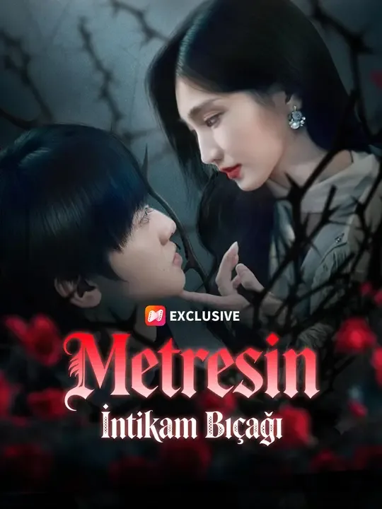 Metresin İntikam Bıçağı — Kore dizi posteri