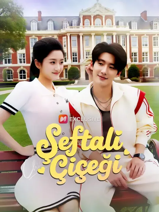 Şeftali Çiçeği — Kore dizi posteri