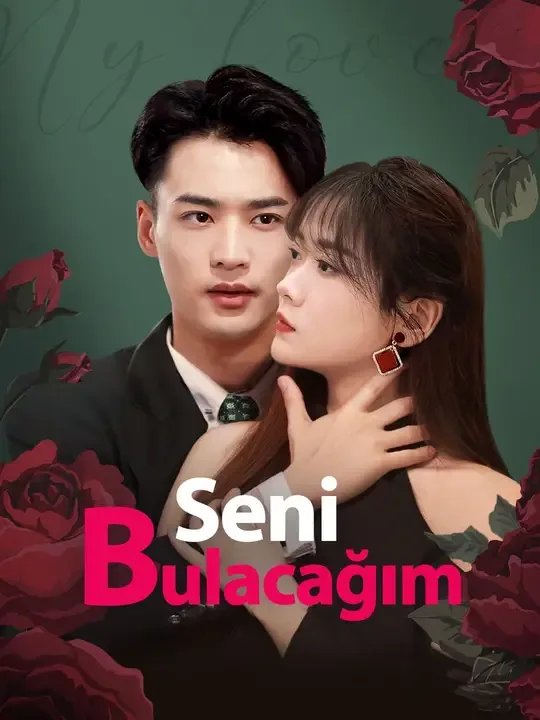Seni Bulacağım — Kore dizi posteri