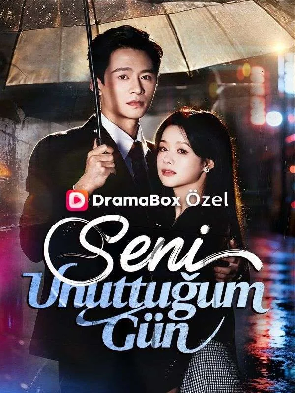 Seni Unuttuğum Gün —  kore dizi posteri