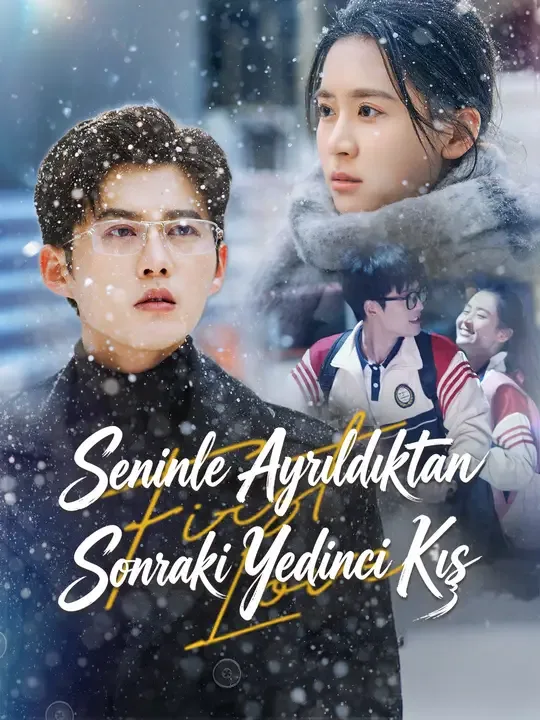 Seninle Ayrıldıktan Sonraki Yedinci Kış — Kore dizi posteri