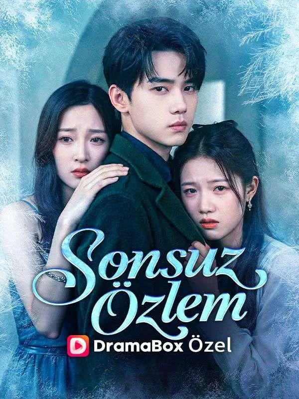 Sonsuz Özlem —  kore dizi posteri