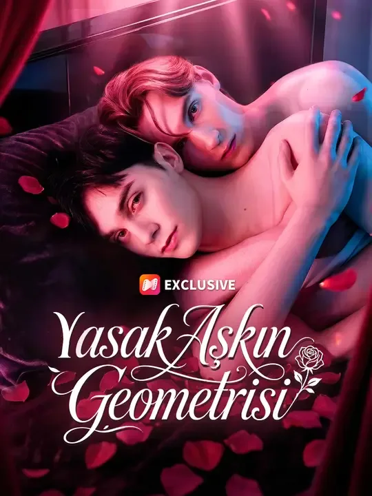 Yasak Aşkın Geometrisi — Kore dizi posteri